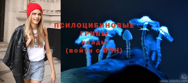 герыч Богородск