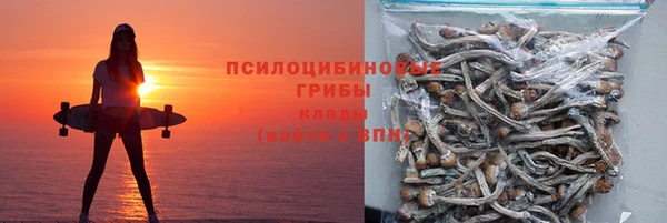 соль курить ск Богданович