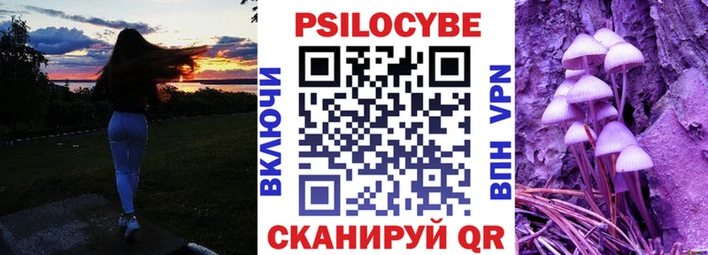 kraken ТОР  Батайск  Псилоцибиновые грибы Cubensis 